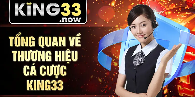 Tổng quan về thương hiệu cá cược King33