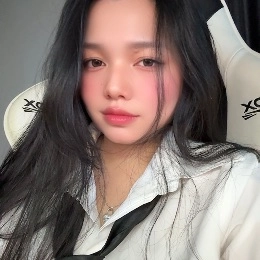 lan-vy